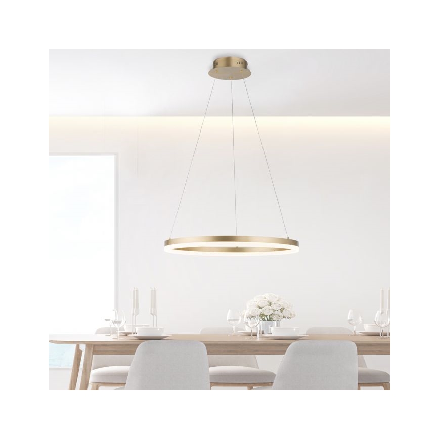 Paul Neuhaus 2382-60 - LED Aptumšojama lustra ar auklu TITUS LED/38,5W/230V