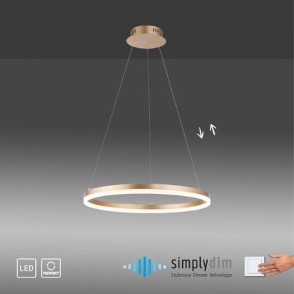 Paul Neuhaus 2382-60 - LED Aptumšojama lustra ar auklu TITUS LED/38,5W/230V