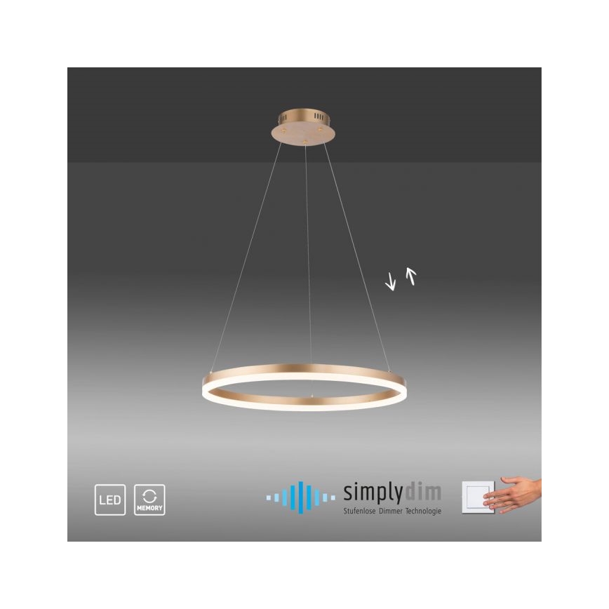 Paul Neuhaus 2382-60 - LED Aptumšojama lustra ar auklu TITUS LED/38,5W/230V