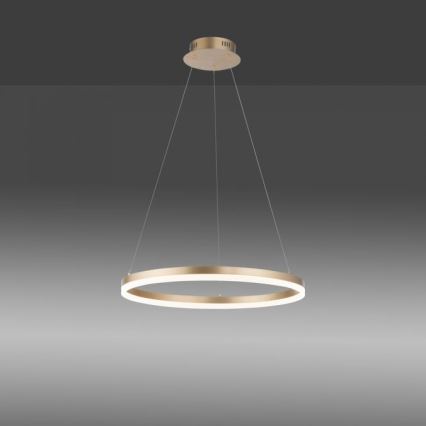 Paul Neuhaus 2382-60 - LED Aptumšojama lustra ar auklu TITUS LED/38,5W/230V