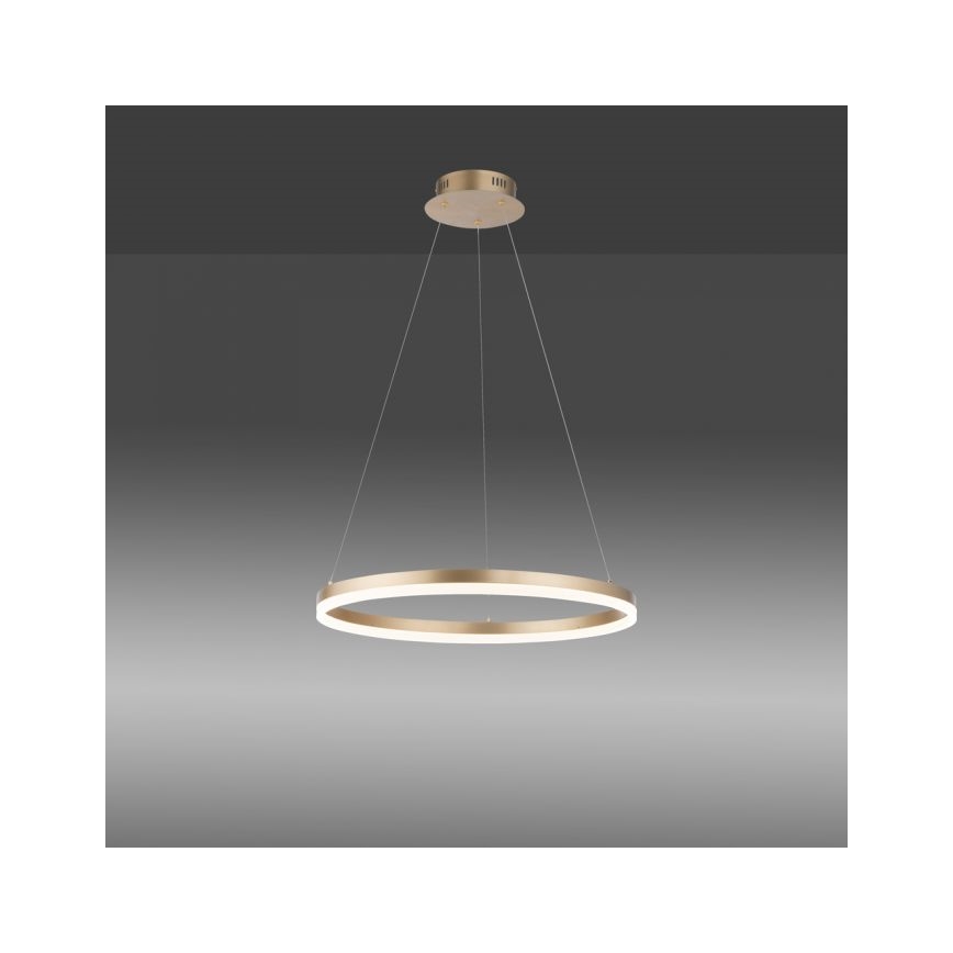 Paul Neuhaus 2382-60 - LED Aptumšojama lustra ar auklu TITUS LED/38,5W/230V