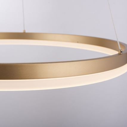 Paul Neuhaus 2382-60 - LED Aptumšojama lustra ar auklu TITUS LED/38,5W/230V
