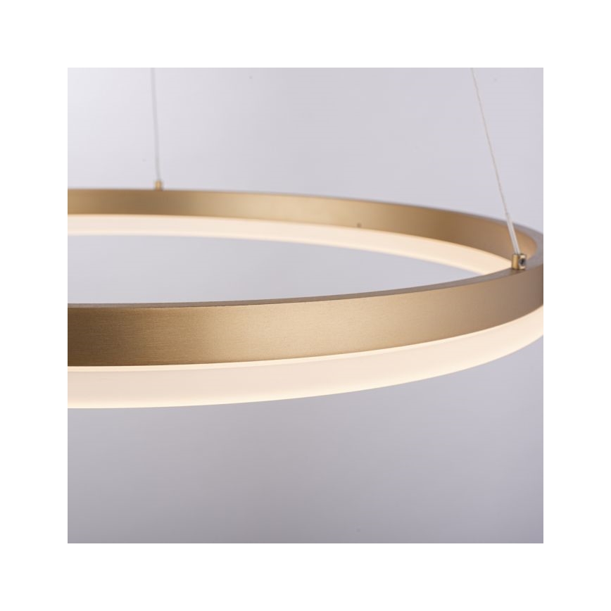 Paul Neuhaus 2382-60 - LED Aptumšojama lustra ar auklu TITUS LED/38,5W/230V