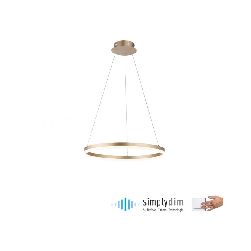 Paul Neuhaus 2382-60 - LED Aptumšojama lustra ar auklu TITUS LED/38,5W/230V