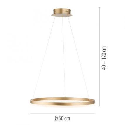 Paul Neuhaus 2382-60 - LED Aptumšojama lustra ar auklu TITUS LED/38,5W/230V