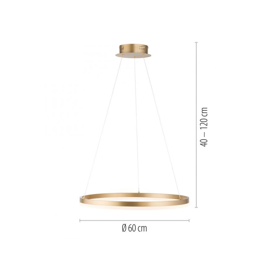 Paul Neuhaus 2382-60 - LED Aptumšojama lustra ar auklu TITUS LED/38,5W/230V