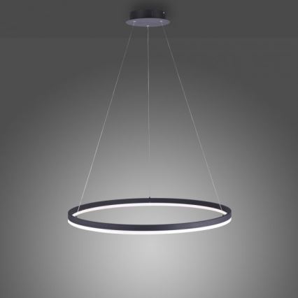 Paul Neuhaus 2383-13 - LED Aptumšojama lustra uz auklas TITUS LED/50W/230V