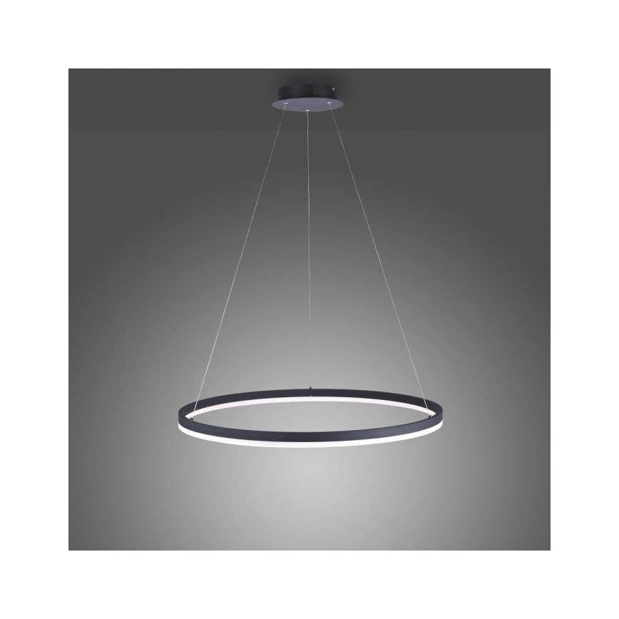 Paul Neuhaus 2383-13 - LED Aptumšojama lustra uz auklas TITUS LED/50W/230V