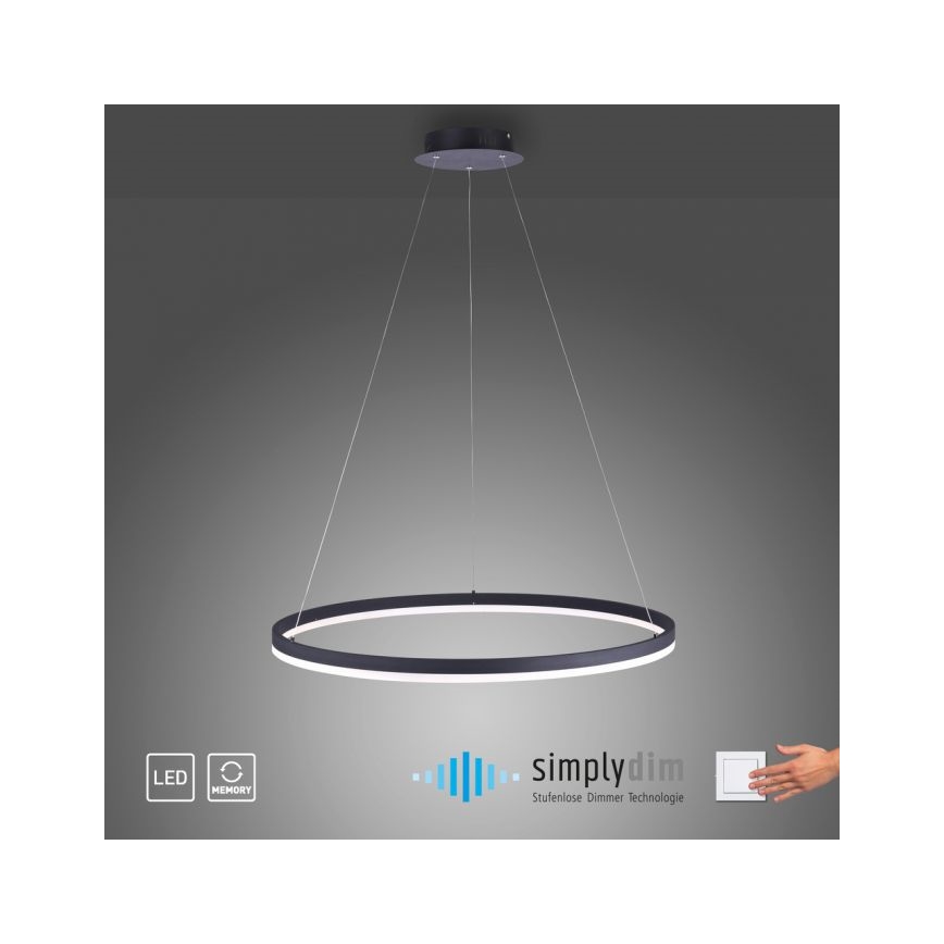 Paul Neuhaus 2383-13 - LED Aptumšojama lustra uz auklas TITUS LED/50W/230V