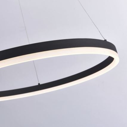 Paul Neuhaus 2383-13 - LED Aptumšojama lustra uz auklas TITUS LED/50W/230V