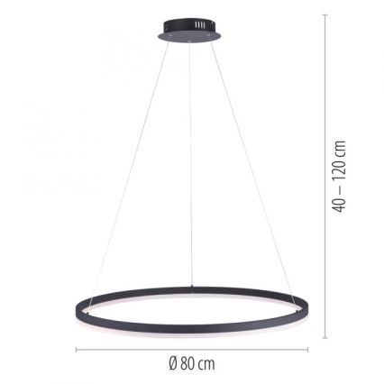 Paul Neuhaus 2383-13 - LED Aptumšojama lustra uz auklas TITUS LED/50W/230V
