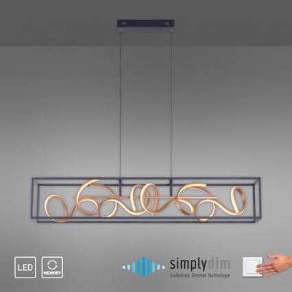 Paul Neuhaus 2416-18 - LED Aptumšojama griestu lustra SELINA 4xLED/10,2W/230V