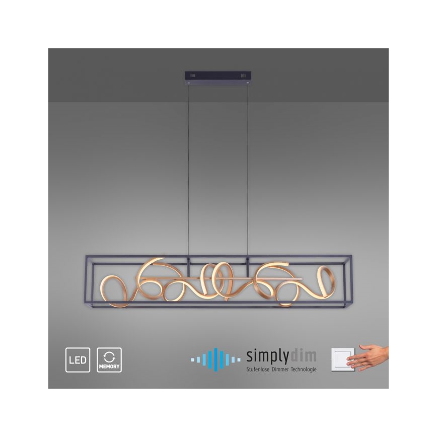 Paul Neuhaus 2416-18 - LED Aptumšojama griestu lustra SELINA 4xLED/10,2W/230V