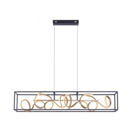 Paul Neuhaus 2416-18 - LED Aptumšojama griestu lustra SELINA 4xLED/10,2W/230V