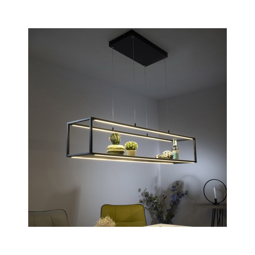 Paul Neuhaus 2441-18 - LED Aptumšojama lustra ar auklu CONTURA 4xLED/8W/230V
