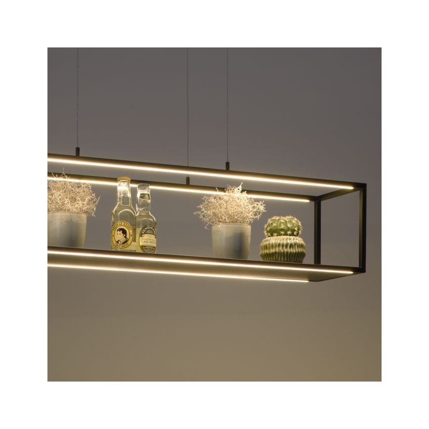 Paul Neuhaus 2441-18 - LED Aptumšojama lustra ar auklu CONTURA 4xLED/8W/230V