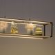 Paul Neuhaus 2441-18 - LED Aptumšojama lustra ar auklu CONTURA 4xLED/8W/230V