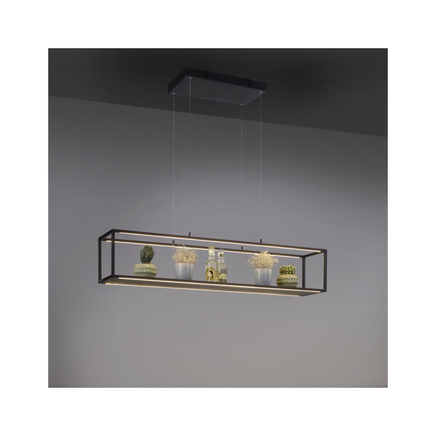 Paul Neuhaus 2441-18 - LED Aptumšojama lustra ar auklu CONTURA 4xLED/8W/230V