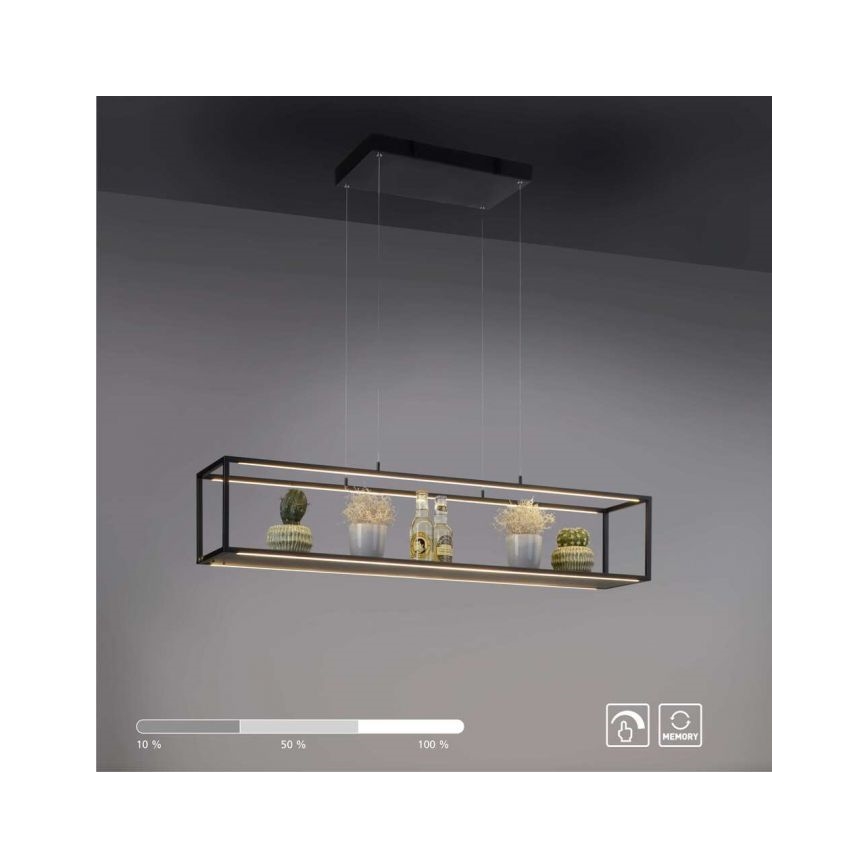 Paul Neuhaus 2441-18 - LED Aptumšojama lustra ar auklu CONTURA 4xLED/8W/230V