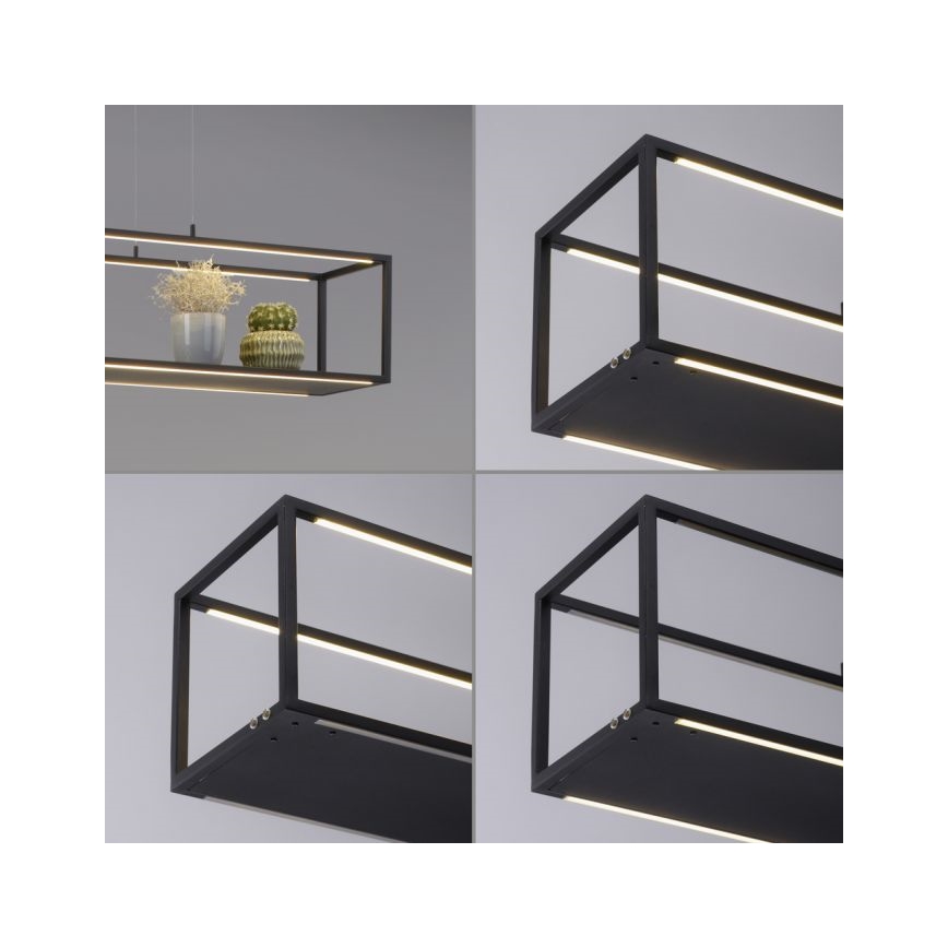 Paul Neuhaus 2441-18 - LED Aptumšojama lustra ar auklu CONTURA 4xLED/8W/230V