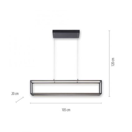 Paul Neuhaus 2441-18 - LED Aptumšojama lustra ar auklu CONTURA 4xLED/8W/230V