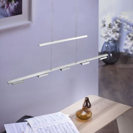 Paul Neuhaus 2446-55 - LED Pielāgojama lustra uz auklas INIGO 5xLED/4W/230V
