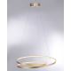 Paul Neuhaus 2474-12 - LED Aptumšojama lustra uz auklas ROMAN LED/40W/230V zelta