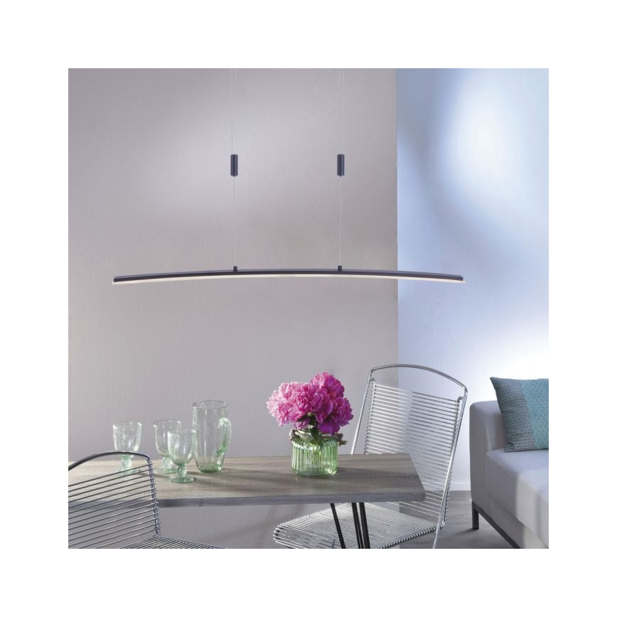 Paul Neuhaus 2530-13 - LED Aptumšojama lustra ar auklu JANINA LED/27W/230V