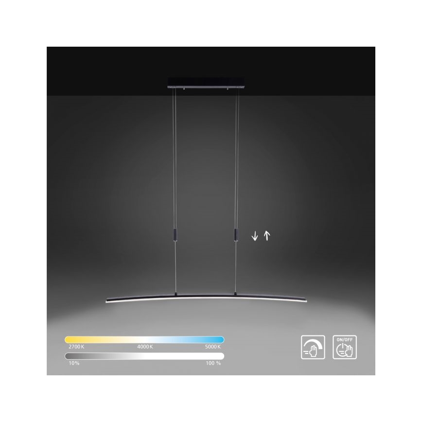 Paul Neuhaus 2530-13 - LED Aptumšojama lustra ar auklu JANINA LED/27W/230V