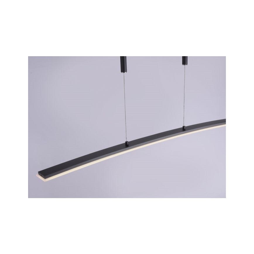Paul Neuhaus 2530-13 - LED Aptumšojama lustra ar auklu JANINA LED/27W/230V