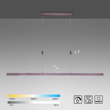 Paul Neuhaus 2568-24 - LED Aptumšojama lustra ar auklu ADRIANA LED/14W/230V 2700-5000K