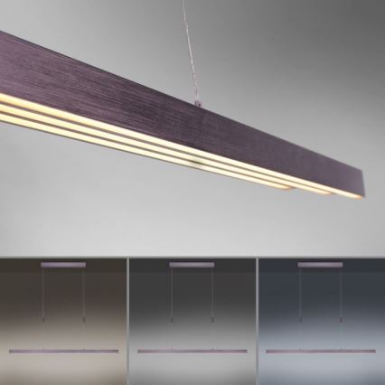 Paul Neuhaus 2568-24 - LED Aptumšojama lustra ar auklu ADRIANA LED/14W/230V 2700-5000K