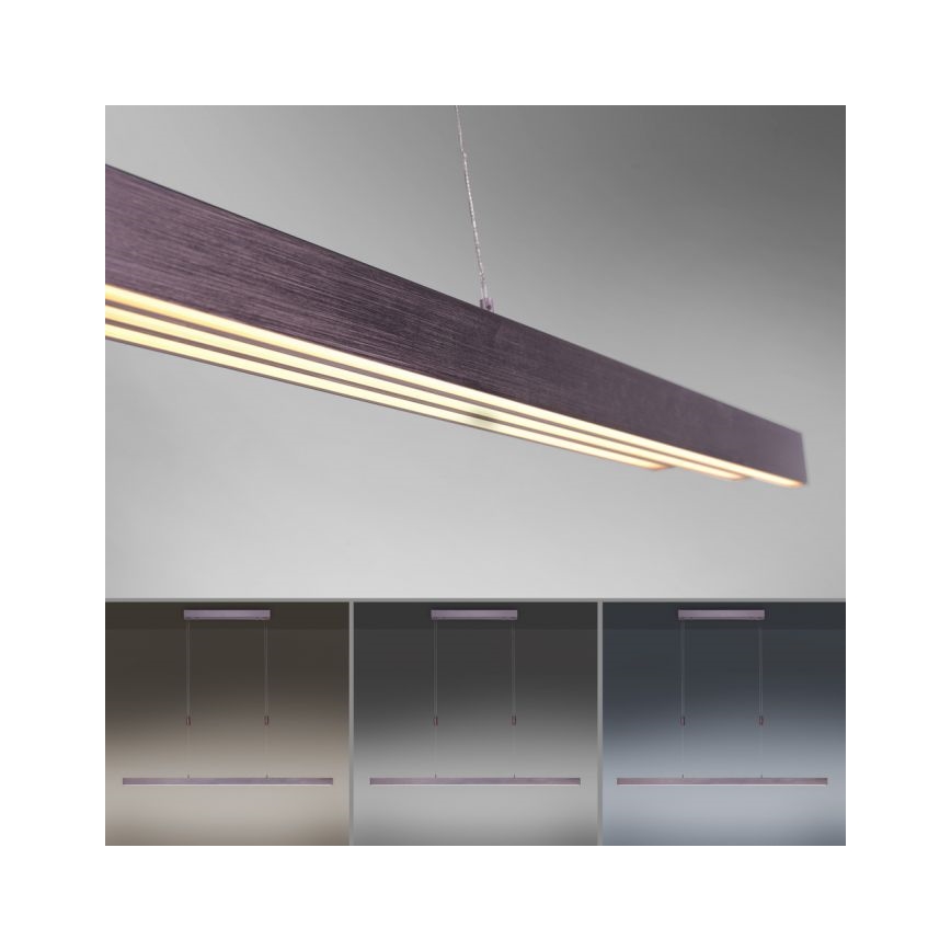 Paul Neuhaus 2568-24 - LED Aptumšojama lustra ar auklu ADRIANA LED/14W/230V 2700-5000K