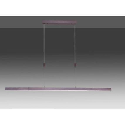 Paul Neuhaus 2568-24 - LED Aptumšojama lustra ar auklu ADRIANA LED/14W/230V 2700-5000K