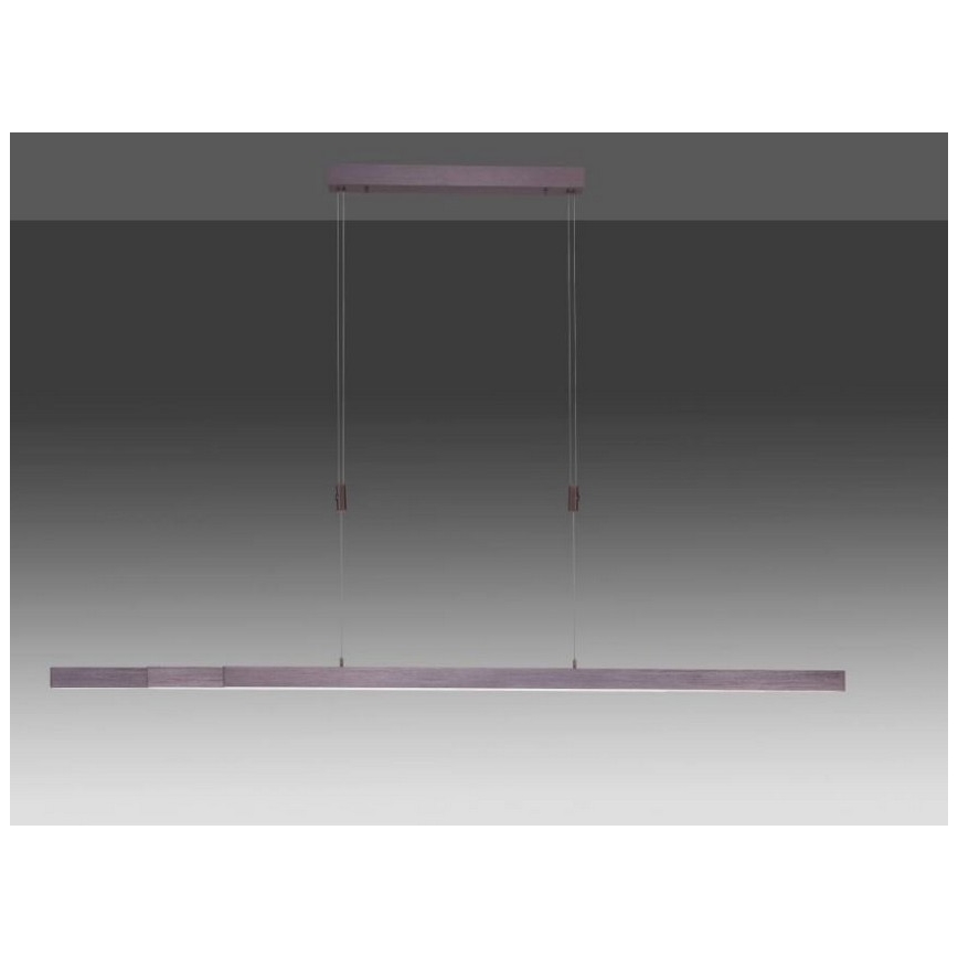 Paul Neuhaus 2568-24 - LED Aptumšojama lustra ar auklu ADRIANA LED/14W/230V 2700-5000K