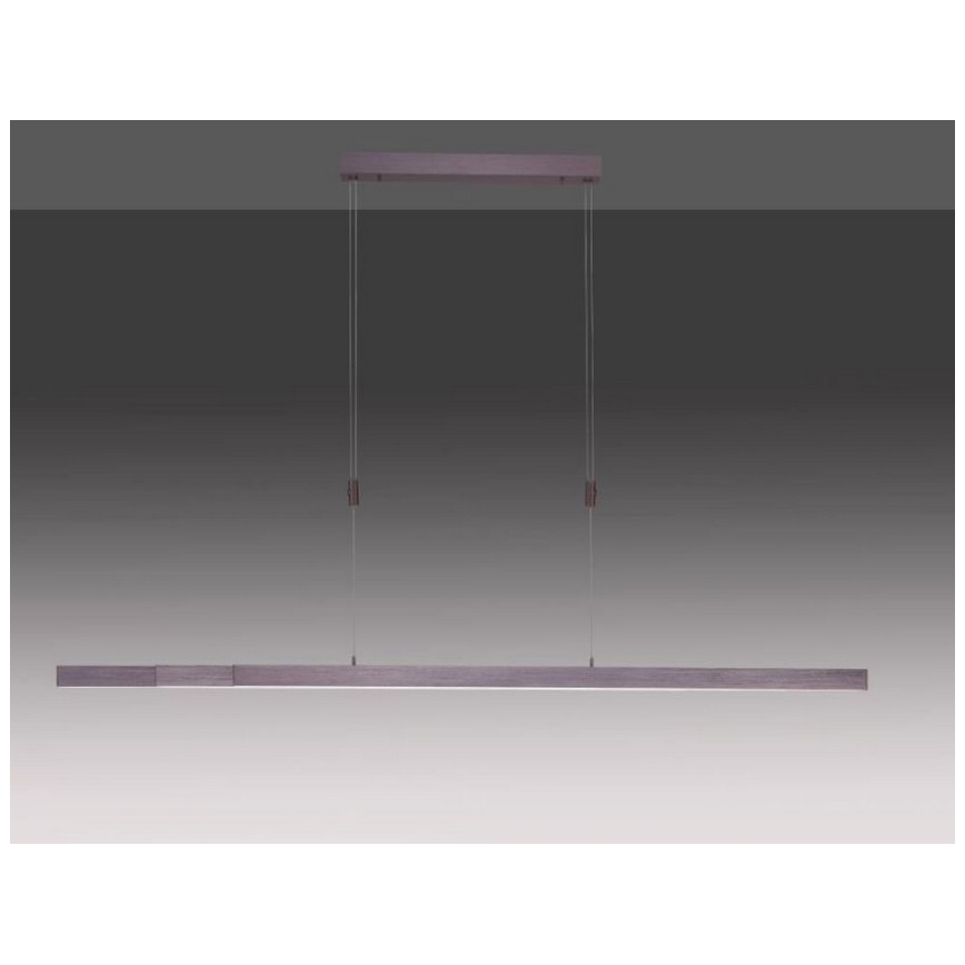 Paul Neuhaus 2568-24 - LED Aptumšojama lustra ar auklu ADRIANA LED/14W/230V 2700-5000K