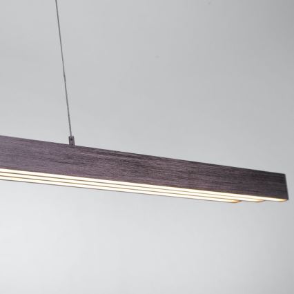 Paul Neuhaus 2568-24 - LED Aptumšojama lustra ar auklu ADRIANA LED/14W/230V 2700-5000K