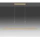 Paul Neuhaus 2568-60 - LED Aptumšojama lustra ar auklu ADRIANA LED/14W/230V  2700-5000K misiņš