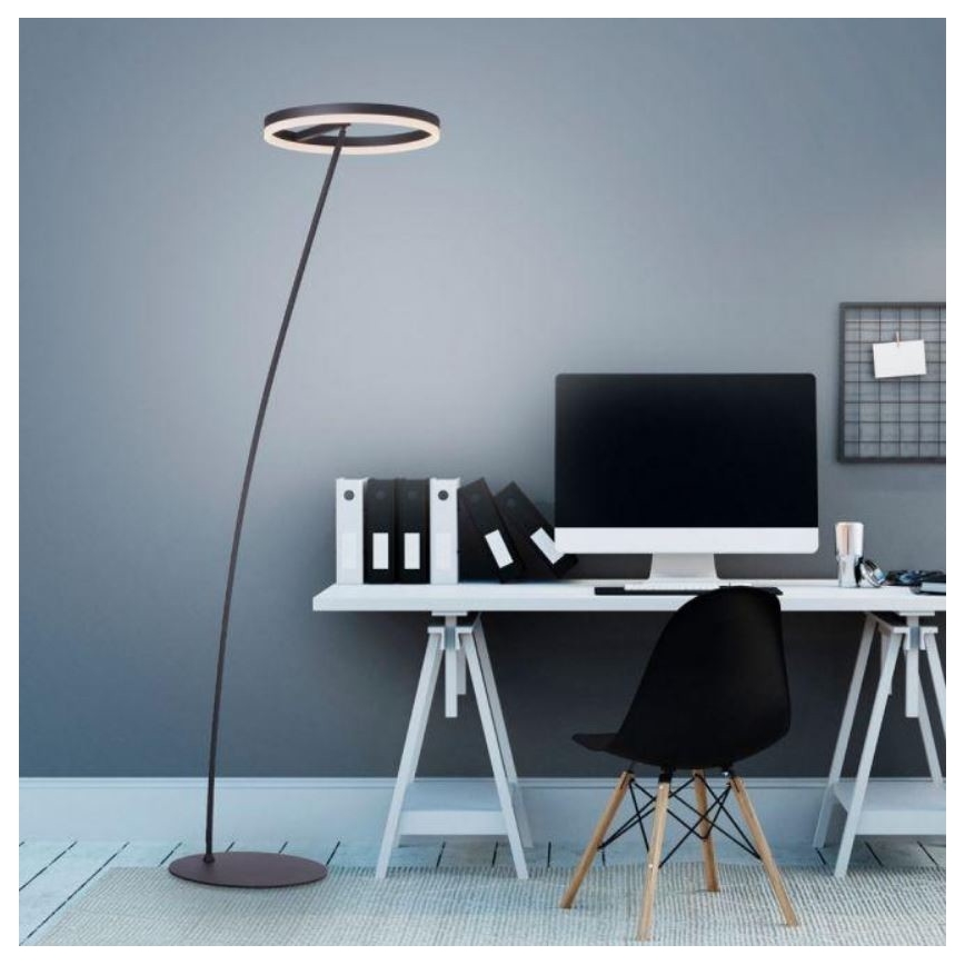 Paul Neuhaus 381-13 - LED Aptumšojama grīdas lampa TITUS LED/19,5W/230V