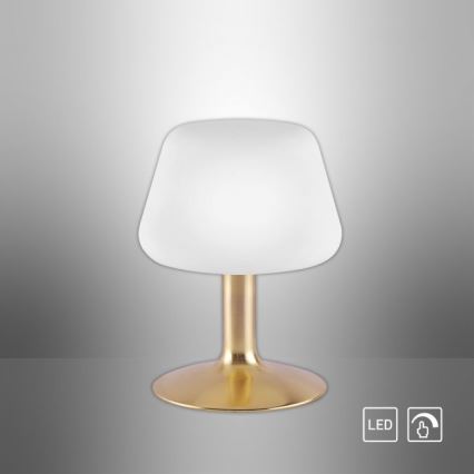 Paul Neuhaus 4078-60 - LED Aptumšojama skārienvadāma galda lampa TILL 1xG9/3W/230V misiņš