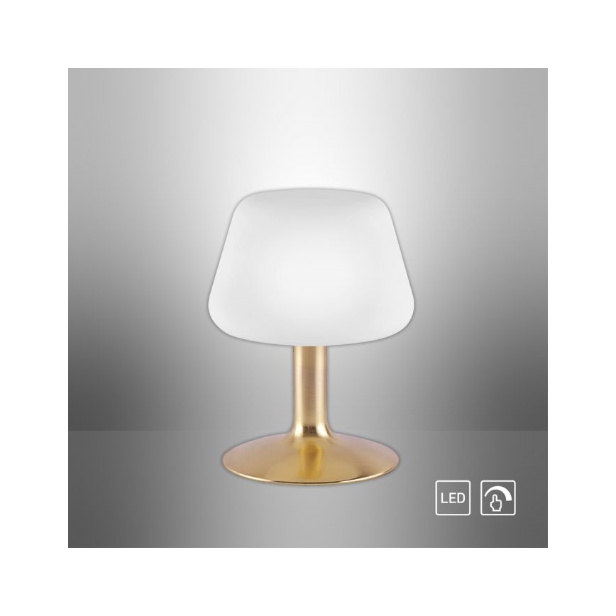 Paul Neuhaus 4078-60 - LED Aptumšojama skārienvadāma galda lampa TILL 1xG9/3W/230V misiņš