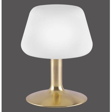 Paul Neuhaus 4078-60 - LED Aptumšojama skārienvadāma galda lampa TILL 1xG9/3W/230V misiņš