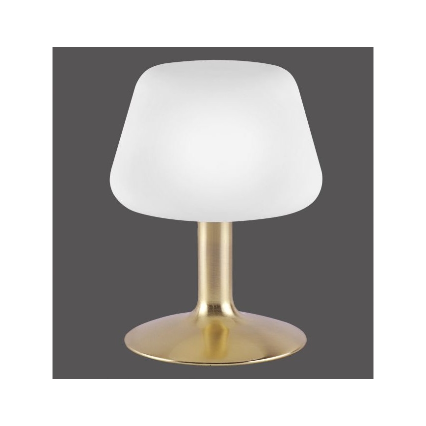 Paul Neuhaus 4078-60 - LED Aptumšojama skārienvadāma galda lampa TILL 1xG9/3W/230V misiņš
