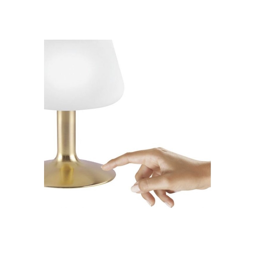 Paul Neuhaus 4078-60 - LED Aptumšojama skārienvadāma galda lampa TILL 1xG9/3W/230V misiņš