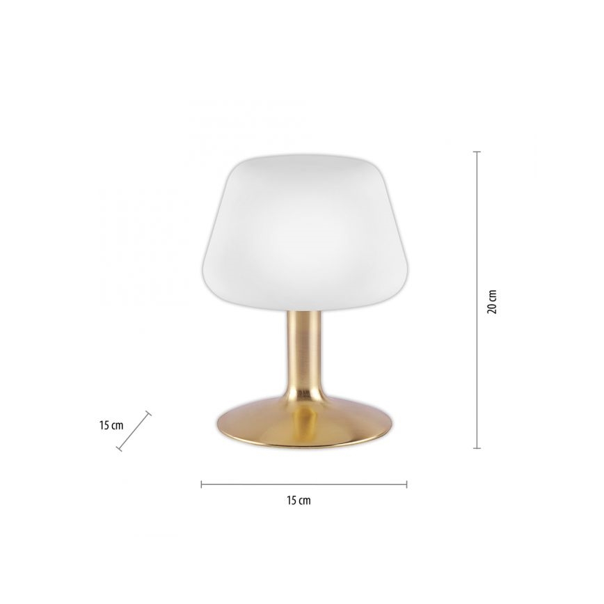Paul Neuhaus 4078-60 - LED Aptumšojama skārienvadāma galda lampa TILL 1xG9/3W/230V misiņš