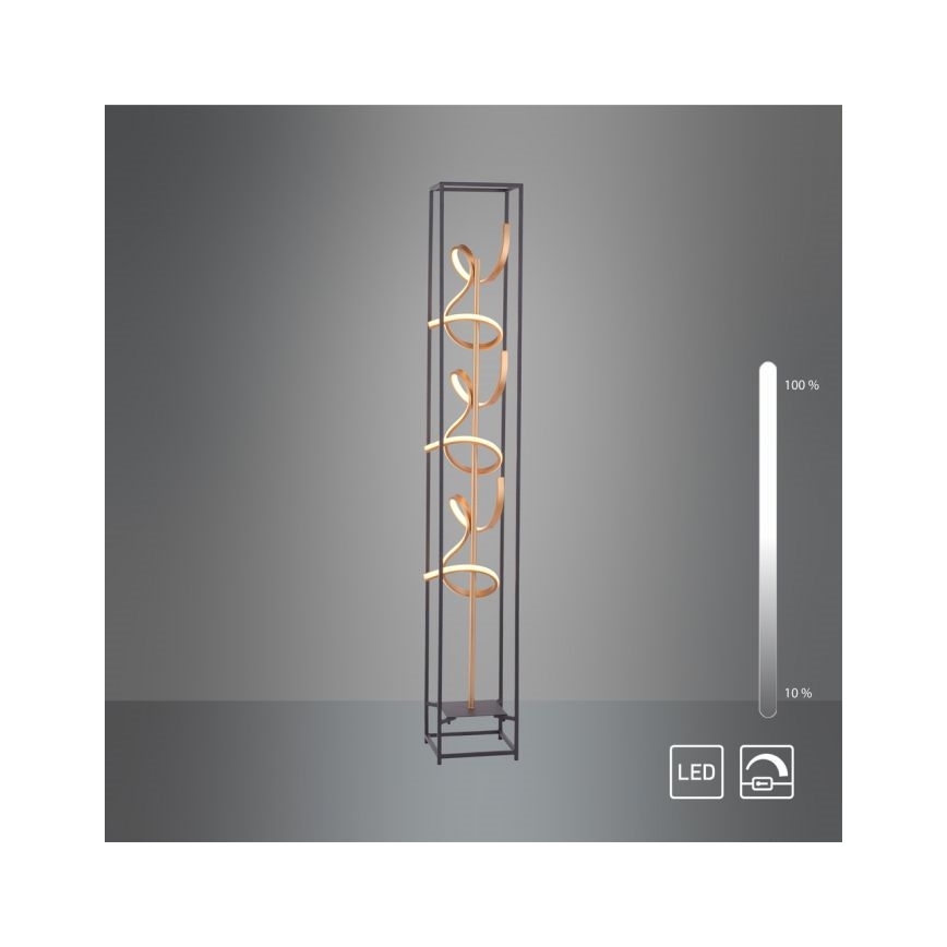 Paul Neuhaus 415-18 - LED Aptumšojama grīdas lampa SELINA 3xLED/10.W/230V