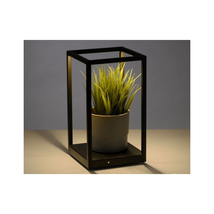 Paul Neuhaus 4401-18 - LED Aptumšojama galda lampa CONTURA 2xLED/2,2W/230V