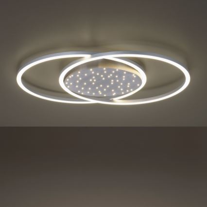 Paul Neuhaus 6025-55 - LED Aptumšojama griestu lampa YUKI LED/48W/230V + tālvadības pults