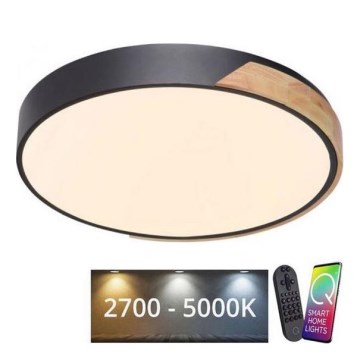 Paul Neuhaus 6071-18 - LED Aptumšojama griestu lampa Q-PIATO LED/35W/230V d. 51 cm 2700-5000K Wi-Fi + tālvadības pults