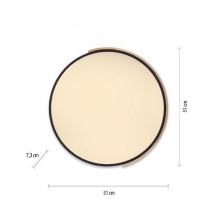 Paul Neuhaus 6071-18 - LED Aptumšojama griestu lampa Q-PIATO LED/35W/230V d. 51 cm 2700-5000K Wi-Fi + tālvadības pults